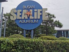 -海云台海滩
