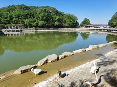-广州市帽峰山景区