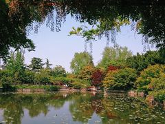 -嘉定紫藤园