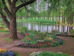 -上海共青森林公园