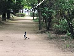 -长春市南湖公园