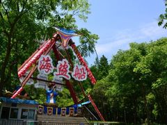 -上海滨江森林公园