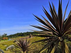 -云漫湖生态度假公园