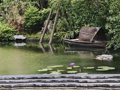 -云溪植物园