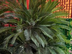 -登瀛楼饭庄(领世郡店)