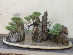 -朱家花园