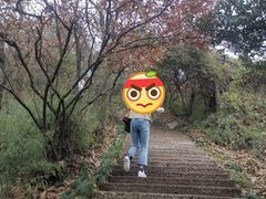 -杭州半山国家森林公园