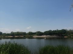 -永定河休闲森林公园