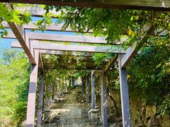 -缥缈峰景区