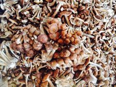 -镜泊小镇(东长安街店)