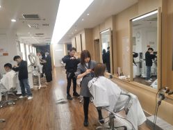 -THE LOG SALON 记录