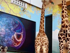 -陕西自然博物馆