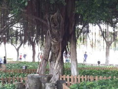 -厦门北海湾惠龙万达嘉华酒店