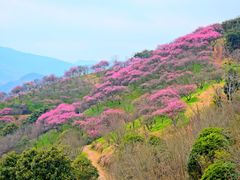 -溪口-滕头旅游景区