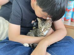 -中农大我爱我爱动物医院·核磁CT·猫病·24小时夜诊中心(石佛营店)
