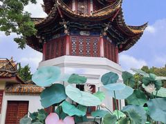 -翠湖公园