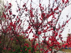 -苏州吴中太湖旅游区