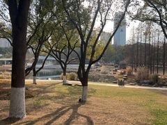 -昆山城市公园