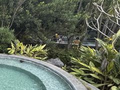 -广州从化都喜泰丽度假酒店温泉