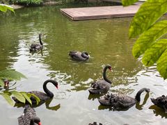 -海南热带野生动植物园