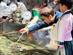 -正佳雨林生态植物园