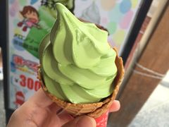 -豆政(金閣寺境内売店)