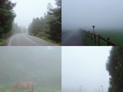 -武隆天坑寨子景区