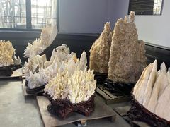 -游龙石文化科普馆