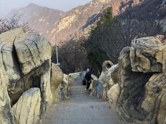 -少华山国家森林公园