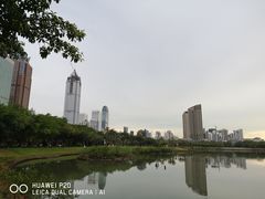 -万绿园