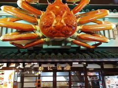 -蟹道乐(道顿堀本店)