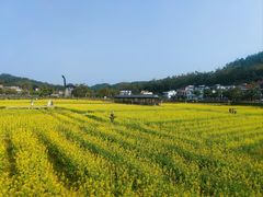 -红山村