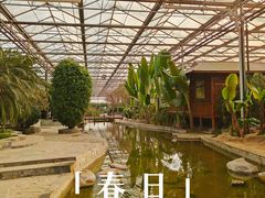-九天休闲谷