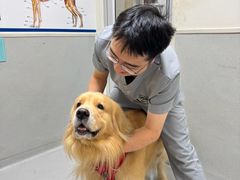 -谐和益家动物医院·免疫绝育·血液透析·宠保定点医院(高新伊藤分院)