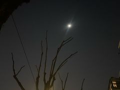 -江南环球港