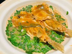 镇江秧草烧豚鱼-永安鱼庄·镇江菜(东吴路店)