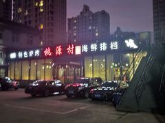 -桃源村铁锅炖鱼(体育馆道店)