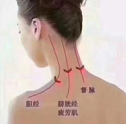 -兰派国际美容养生SPA