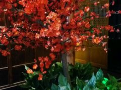 -碧露轩·大益茶体验馆(镇江路店)