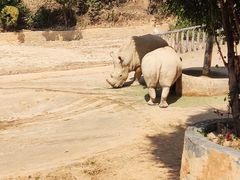 -泉州海丝野生动物世界