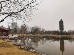 -西海子公园