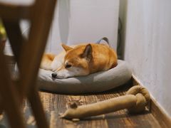 -三目仓咖啡(贤南路店)