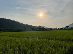 -艾米稻香小镇