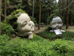 -东平国家森林公园
