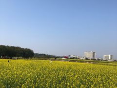 -光明小镇欢乐田园
