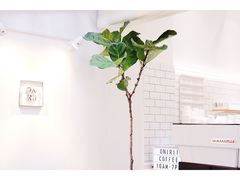 -Onirii Coffee(长乐路店)