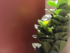 -必胜客(松雷店)