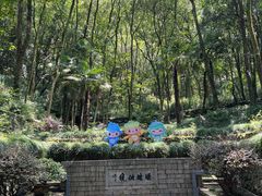 -瑶琳仙境