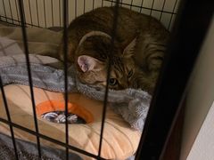 -H立方实景剧情密室(天河旗舰店)