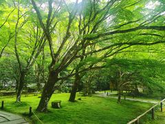 -西芳寺(苔寺)